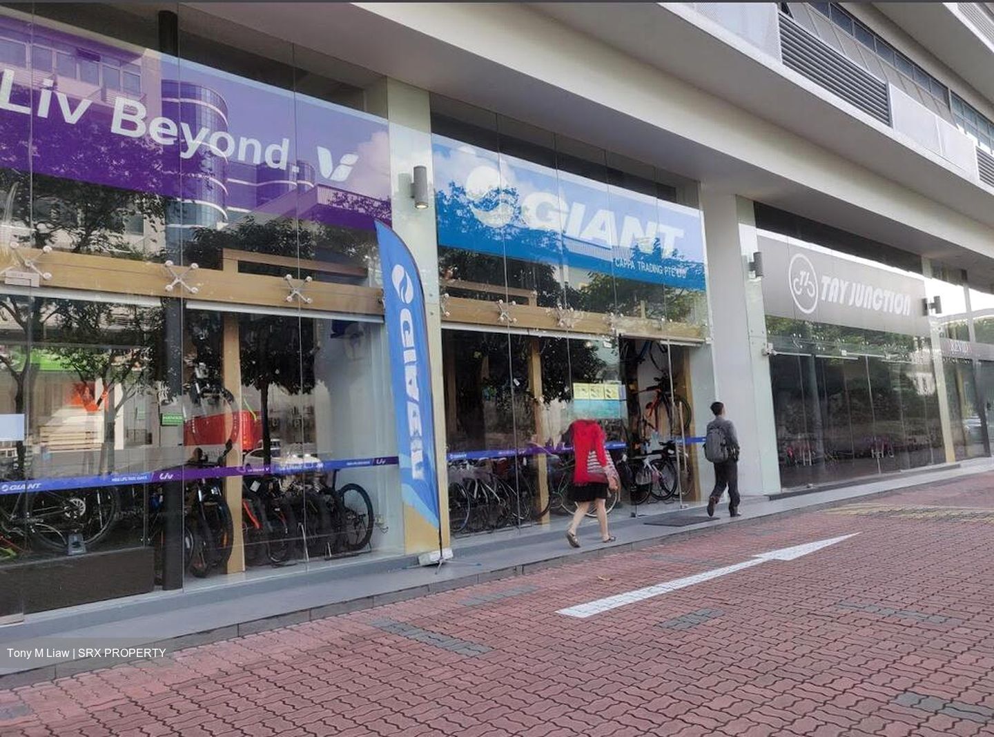 Vertex (D14), Factory #463881461